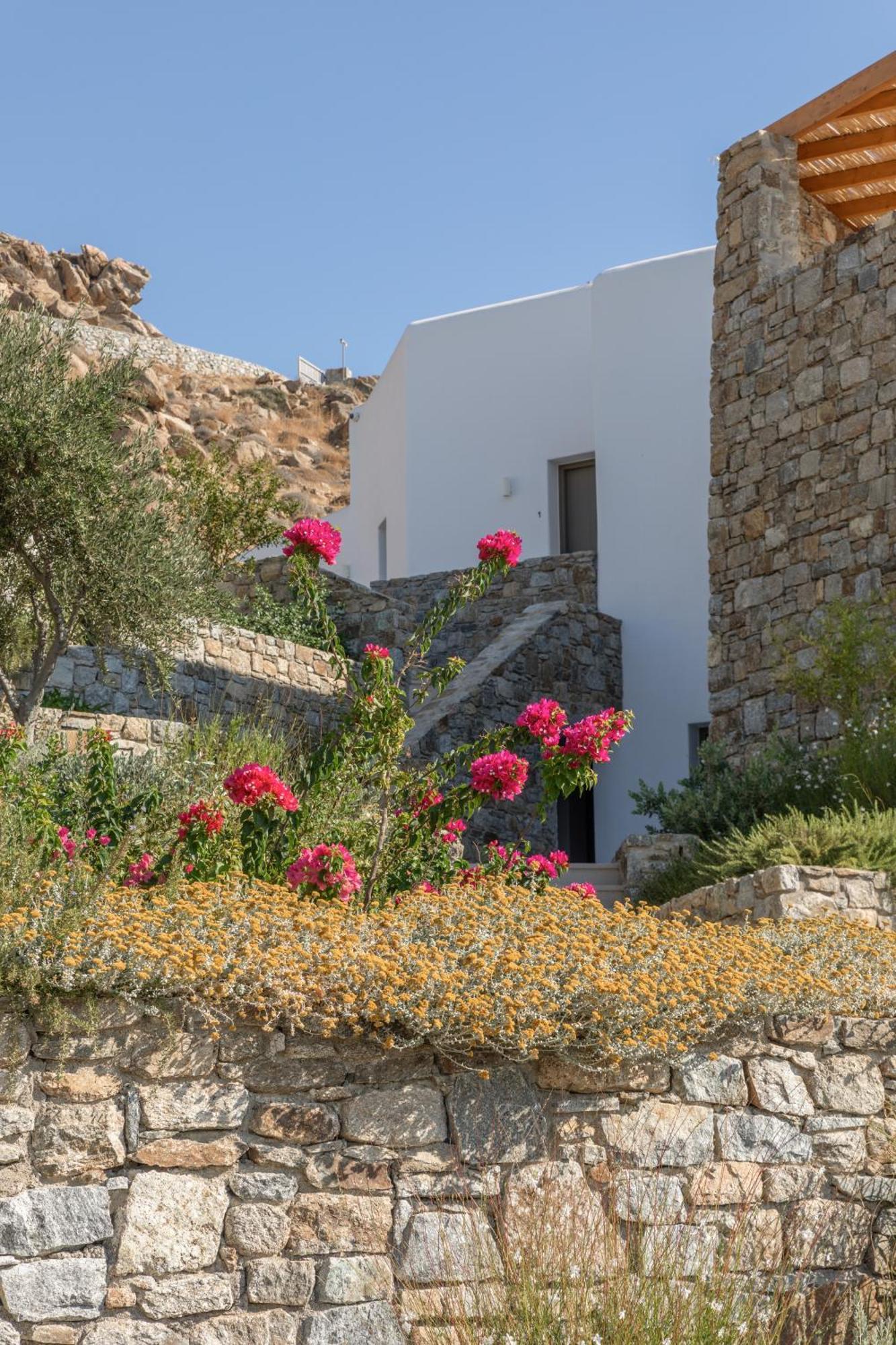 Calma Suites Mykonos ซารู ภายนอก รูปภาพ